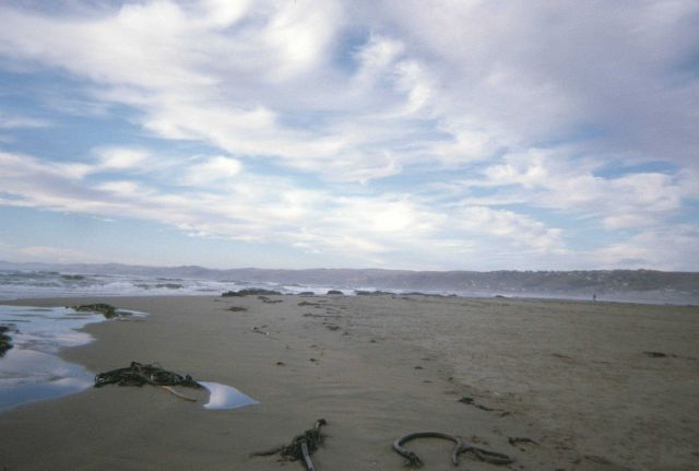 Dillon Beach Picture