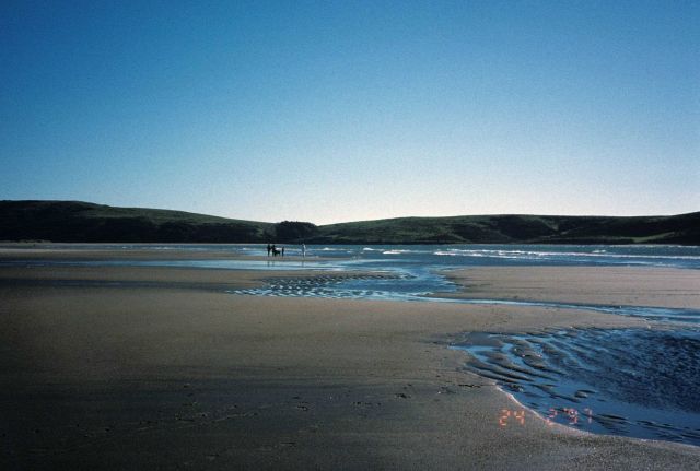 Dillon Beach Picture