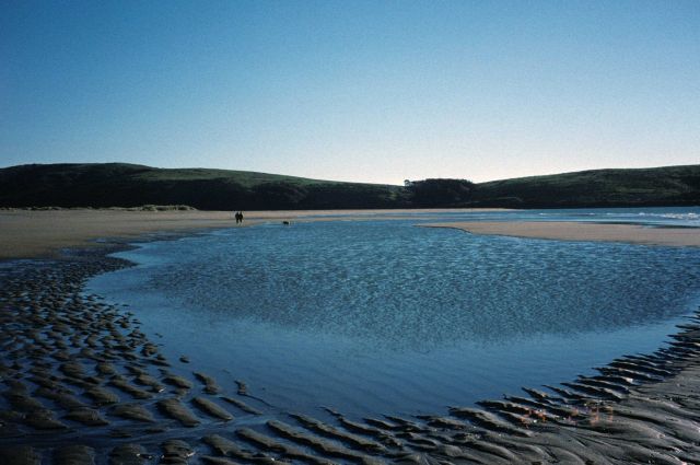 Dillon Beach Picture