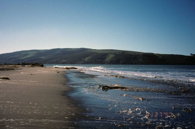 Dillon Beach Picture