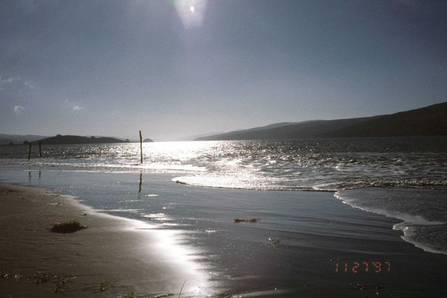 Dillon Beach Picture