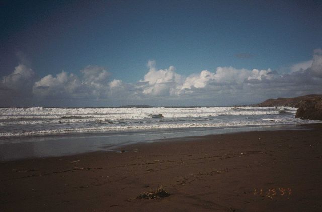 Dillon Beach Picture