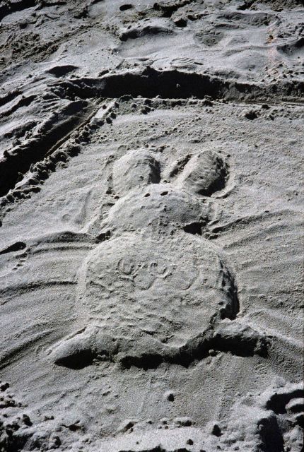 Dillon Beach Picture