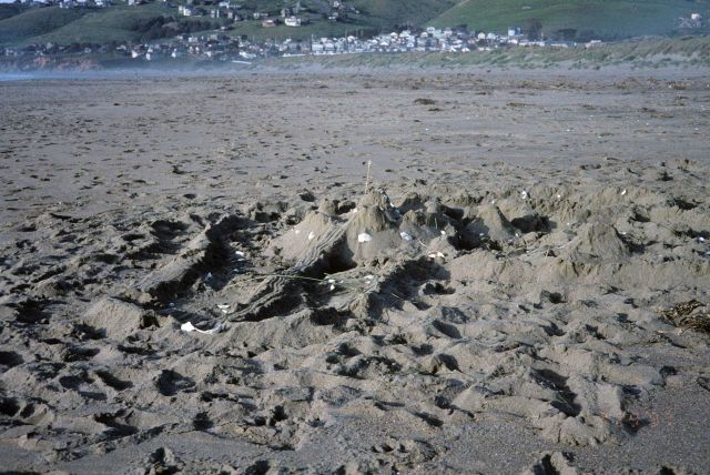 Dillon Beach Picture