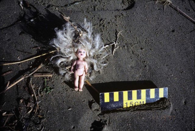 Dillon Beach Picture