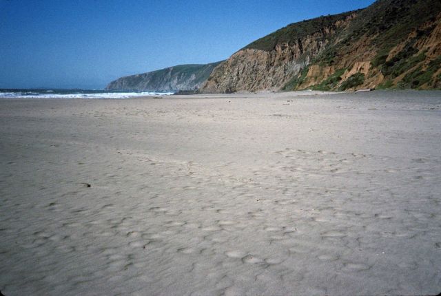 Kehoe Beach looking north Picture