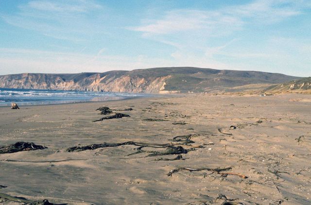 Kehoe Beach Picture