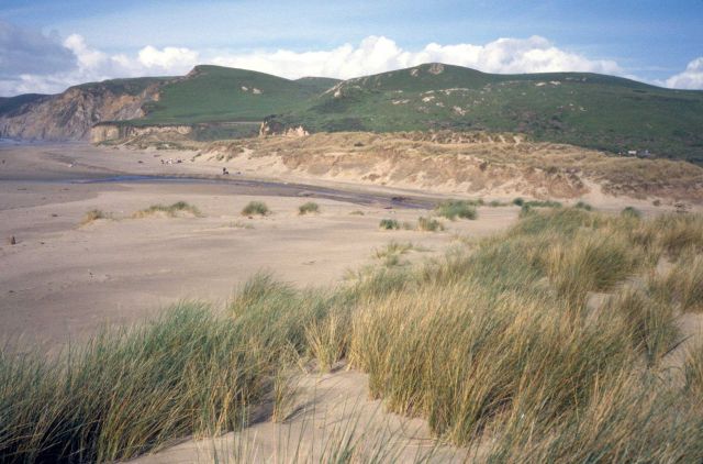 Kehoe Beach Picture