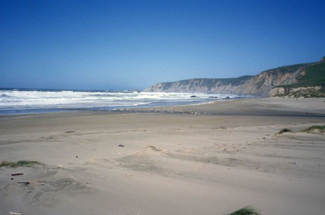 Kehoe Beach Picture