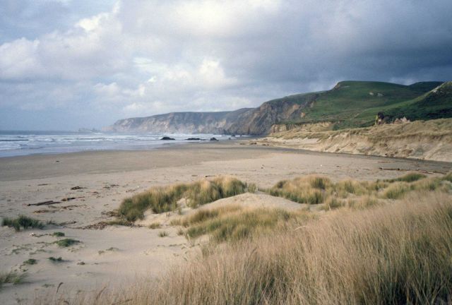 Kehoe Beach Picture