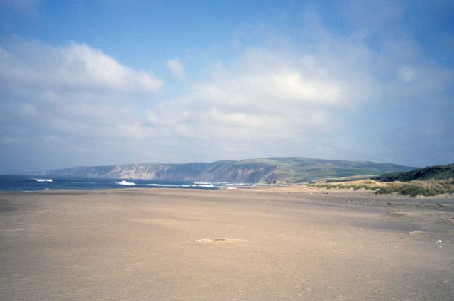 Kehoe Beach Picture