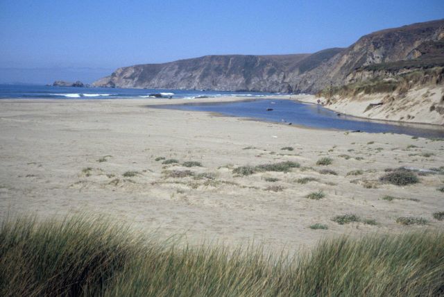 Kehoe Beach Picture