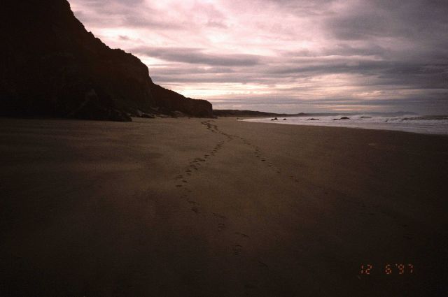 Kehoe Beach Picture