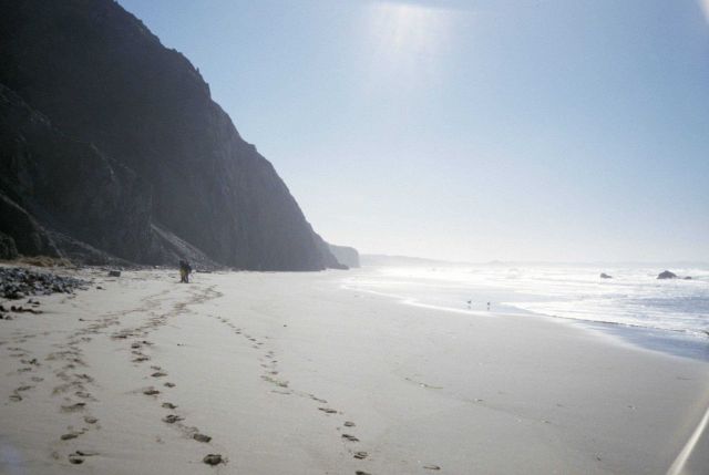 Kehoe Beach Picture