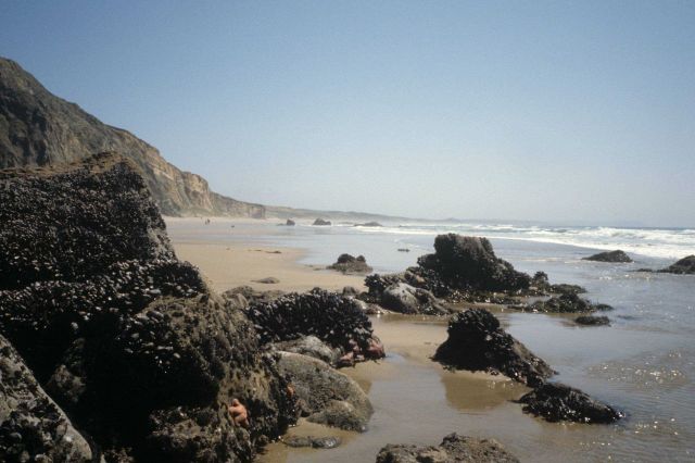 Kehoe Beach Picture