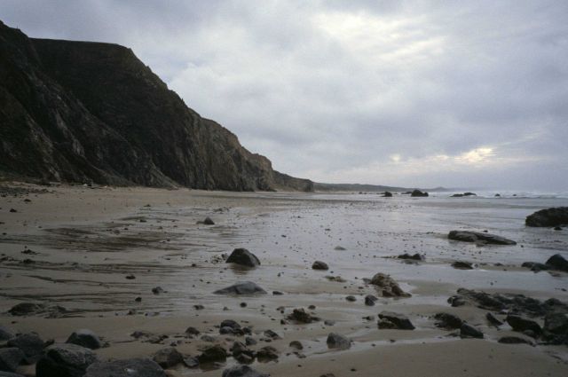 Kehoe Beach Picture