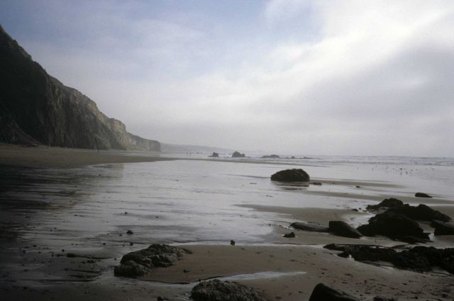Kehoe Beach Picture