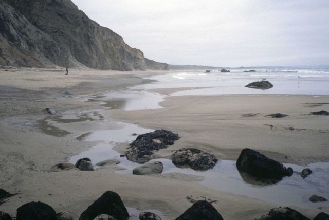 Kehoe Beach Picture