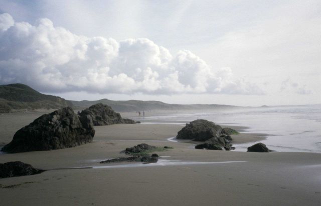 Kehoe Beach Picture