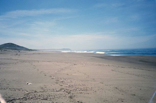 Point Reyes Great Beach Picture