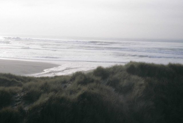 Point Reyes Great Beach Picture