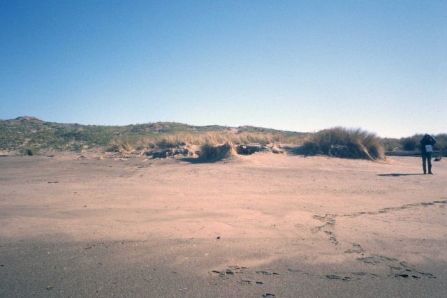 Point Reyes Great Beach Picture