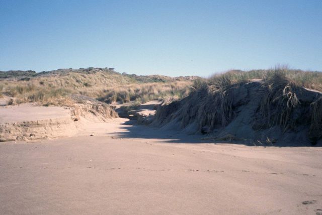 Point Reyes Great Beach Picture