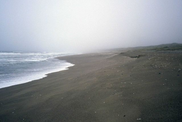 Point Reyes Great Beach Picture