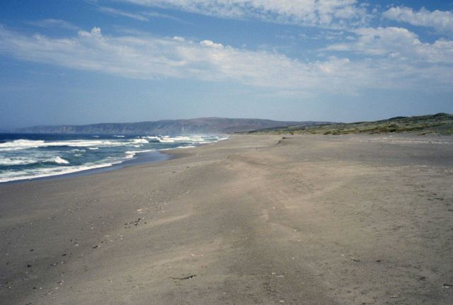 Point Reyes Great Beach Picture