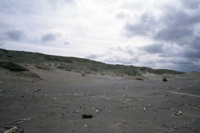 Point Reyes Great Beach Picture