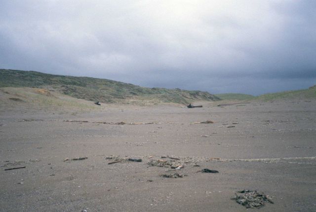 Point Reyes Great Beach Picture