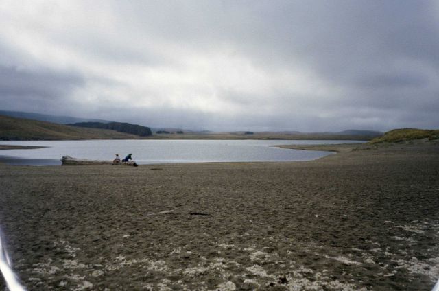 Point Reyes Great Beach Picture
