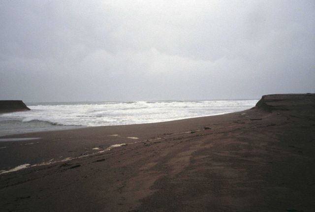 Point Reyes Great Beach Picture