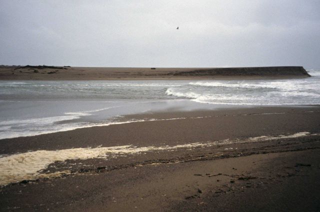 Point Reyes Great Beach Picture