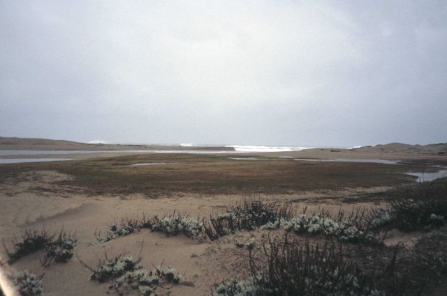 Point Reyes Great Beach Picture