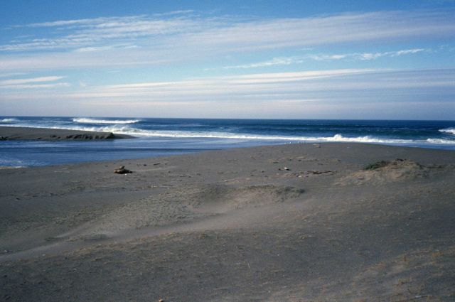 Point Reyes Great Beach Picture
