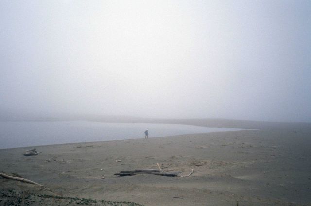 Point Reyes Great Beach Picture