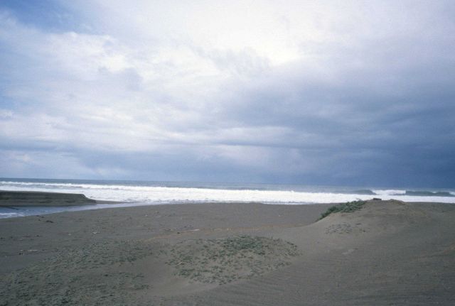Point Reyes Great Beach Picture