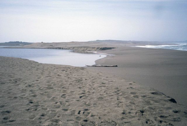Point Reyes Great Beach Picture