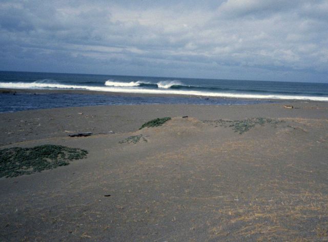 Point Reyes Great Beach Picture