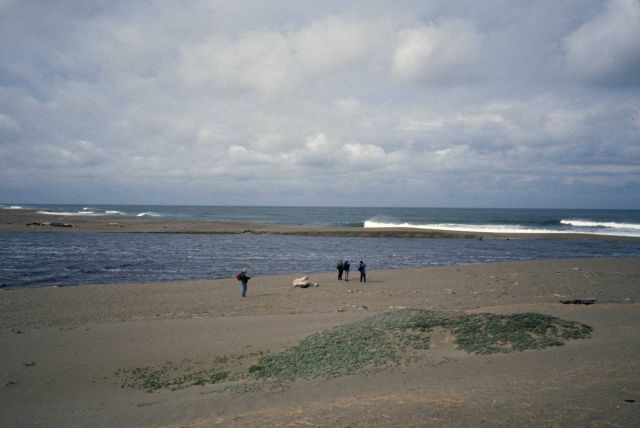 Point Reyes Great Beach Picture