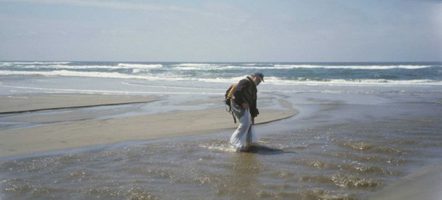 Point Reyes Great Beach Picture