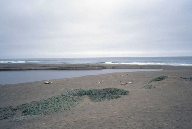 Point Reyes Great Beach Picture