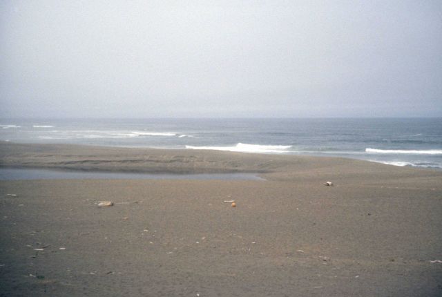 Point Reyes Great Beach Picture