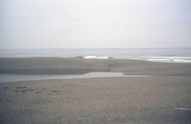 Point Reyes Great Beach Picture