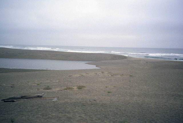 Point Reyes Great Beach Picture