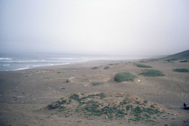 Point Reyes Great Beach Picture