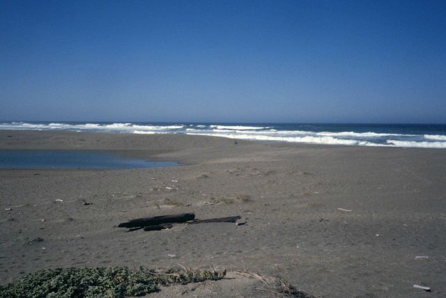Point Reyes Great Beach Picture