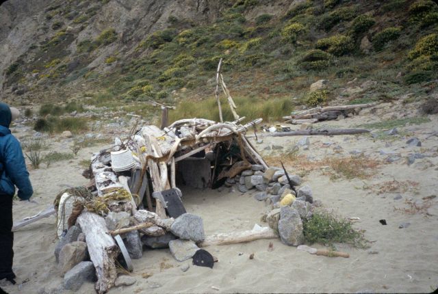 Point Reyes Great Beach Picture