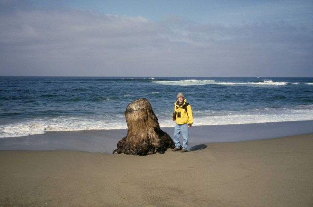 Point Reyes Great Beach Picture